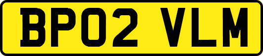 BP02VLM
