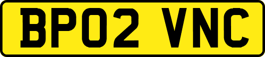 BP02VNC