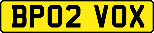 BP02VOX