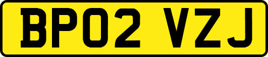 BP02VZJ