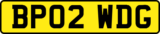 BP02WDG