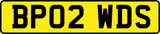 BP02WDS