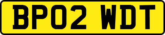 BP02WDT