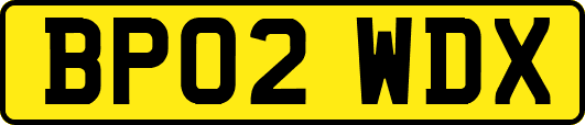 BP02WDX