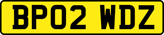 BP02WDZ