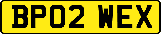 BP02WEX