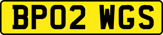 BP02WGS