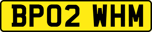BP02WHM