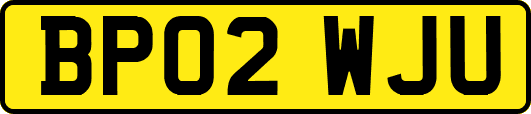 BP02WJU