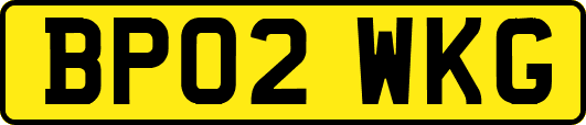 BP02WKG