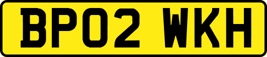 BP02WKH