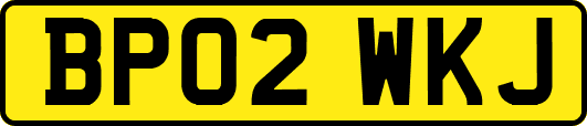 BP02WKJ
