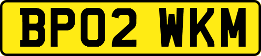 BP02WKM