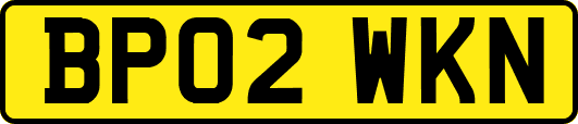 BP02WKN