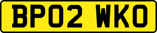 BP02WKO