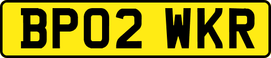BP02WKR