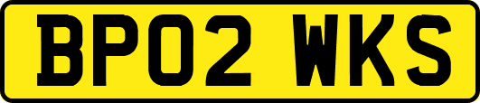 BP02WKS
