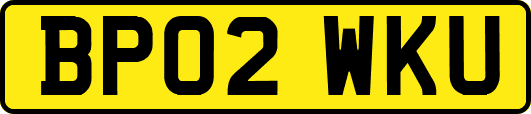 BP02WKU