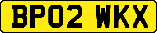 BP02WKX