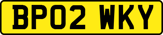 BP02WKY