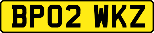 BP02WKZ