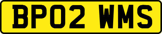 BP02WMS