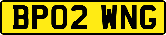 BP02WNG