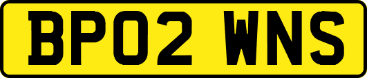 BP02WNS