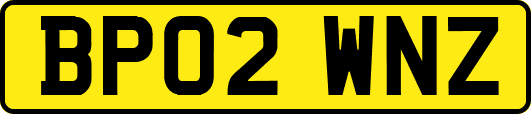 BP02WNZ