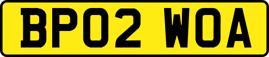 BP02WOA