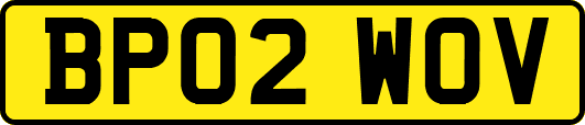 BP02WOV