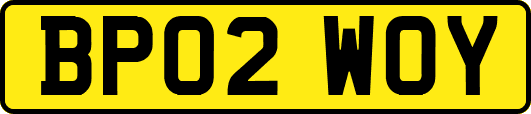BP02WOY
