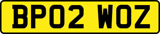BP02WOZ