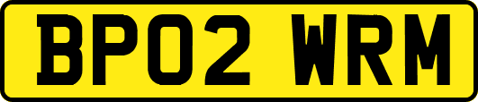 BP02WRM
