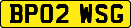 BP02WSG