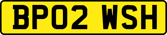 BP02WSH