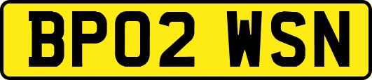 BP02WSN