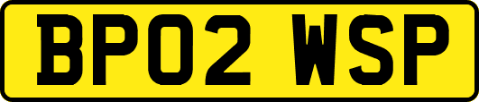 BP02WSP