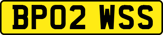 BP02WSS