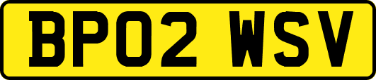 BP02WSV