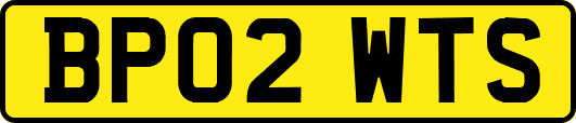 BP02WTS