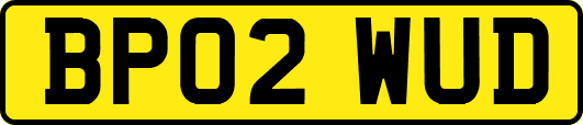 BP02WUD