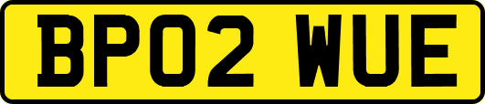 BP02WUE