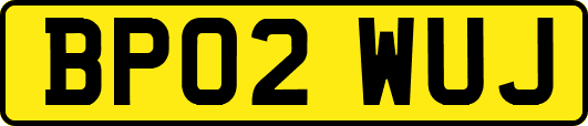 BP02WUJ