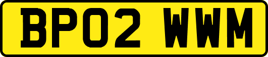 BP02WWM