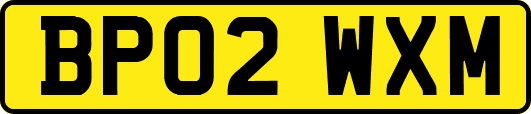 BP02WXM