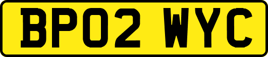 BP02WYC