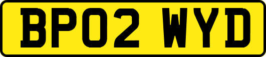 BP02WYD