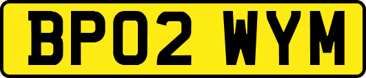 BP02WYM