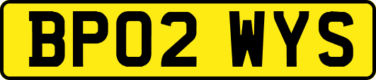 BP02WYS